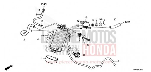 CUVETTE CB500FAN de 2022